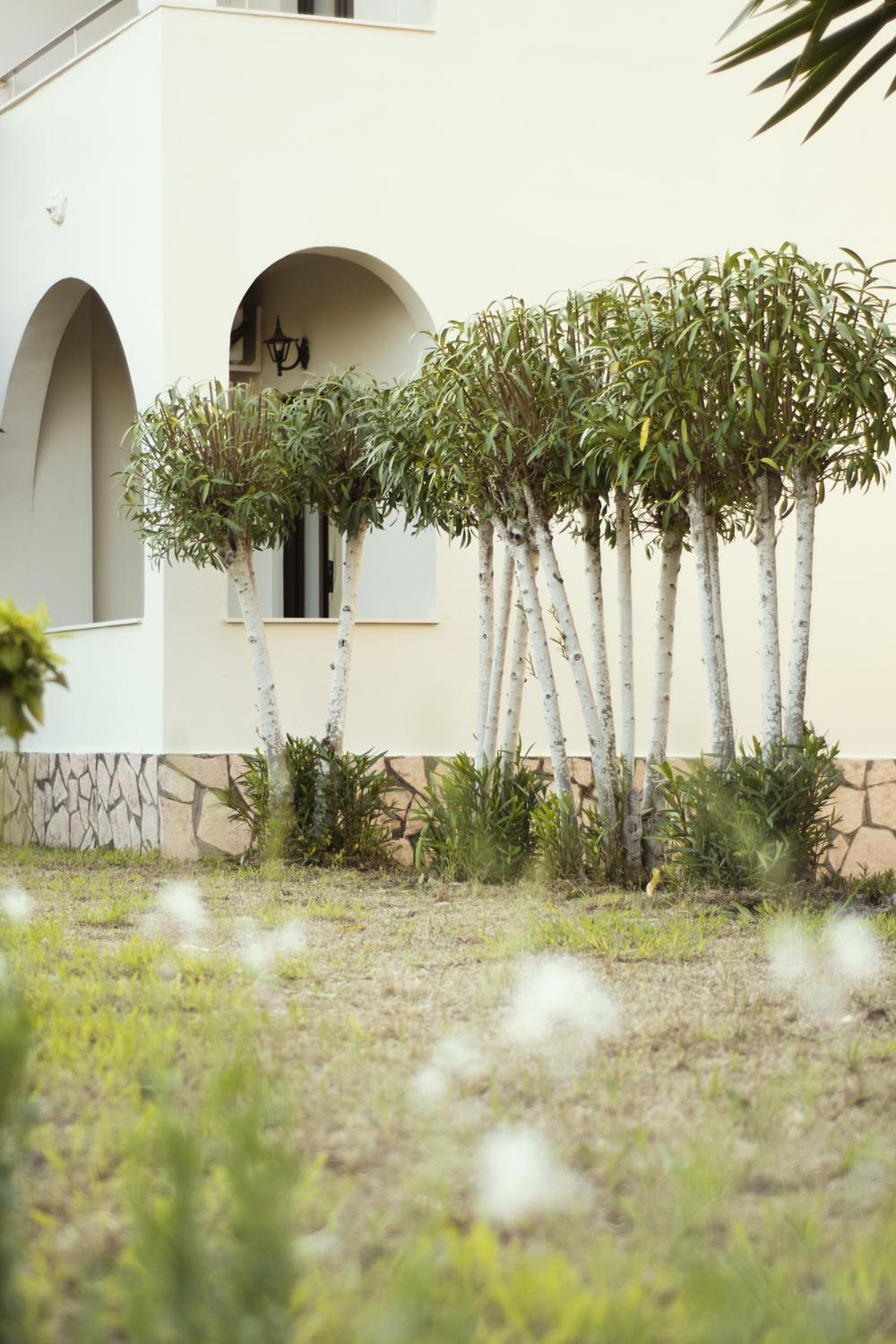 Parakladi Seaside Retreat Lefkimmi (Corfu) Exterior foto